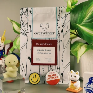 The Day Drinker Single Origin Ethiopian Coffee Bag