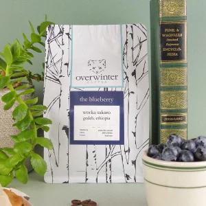 The Blueberry Single Origin Ethiopian Coffee Bag