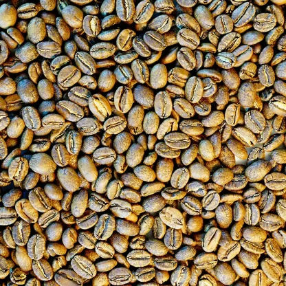 The Open Door Single Origin Colombian Pink Bourbon Coffee Beans