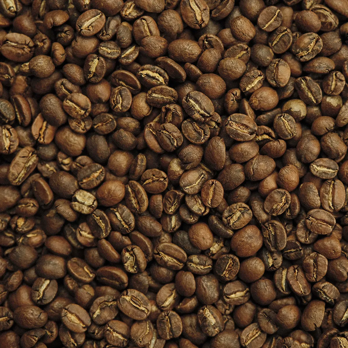 The Early Glow - Image 2