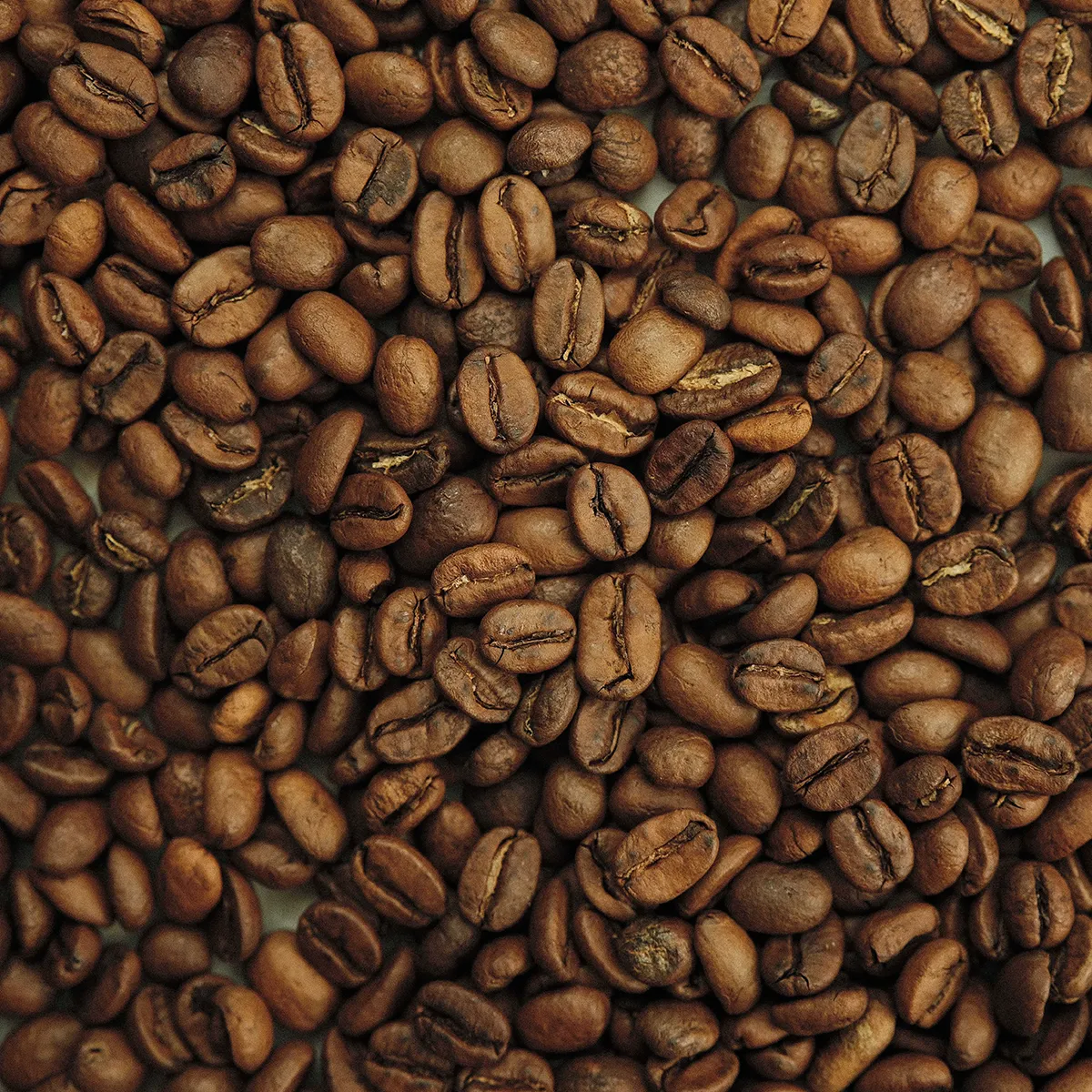 The Overcast - Image 2